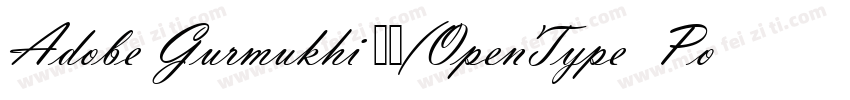 Adobe Gurmukhi 粗体(OpenType  PostScr字体转换